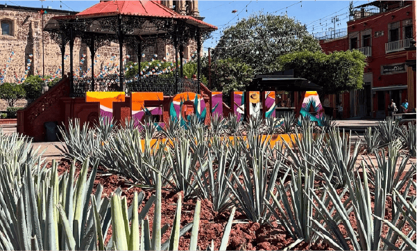 Tours a Tequila